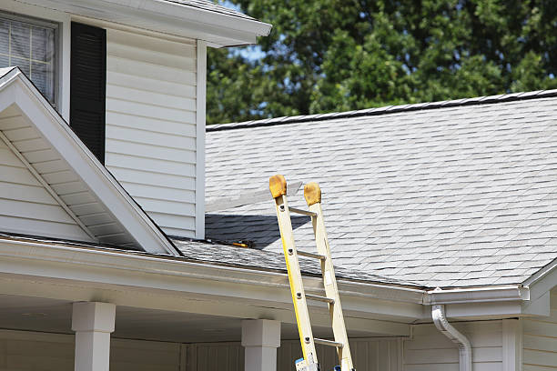 Best Hoarding Cleanup  in Greenup, IL